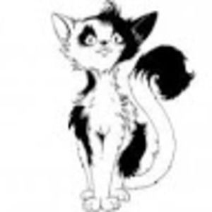 Meet your Posher, Kris (tina)